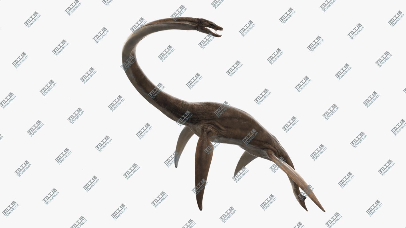 images/goods_img/202104021/3D Plesiosaur Rigged/2.jpg